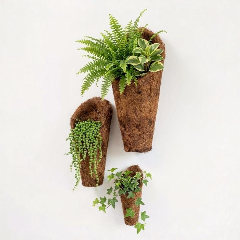 Vaso de parede em fibra de coco com plantas